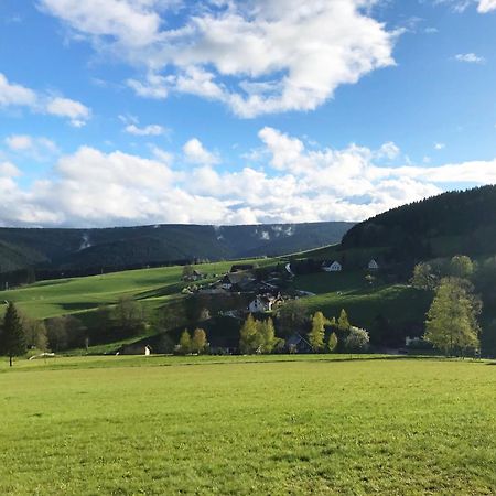Ferienhaus Robin Titisee-Neustadt Eksteriør billede