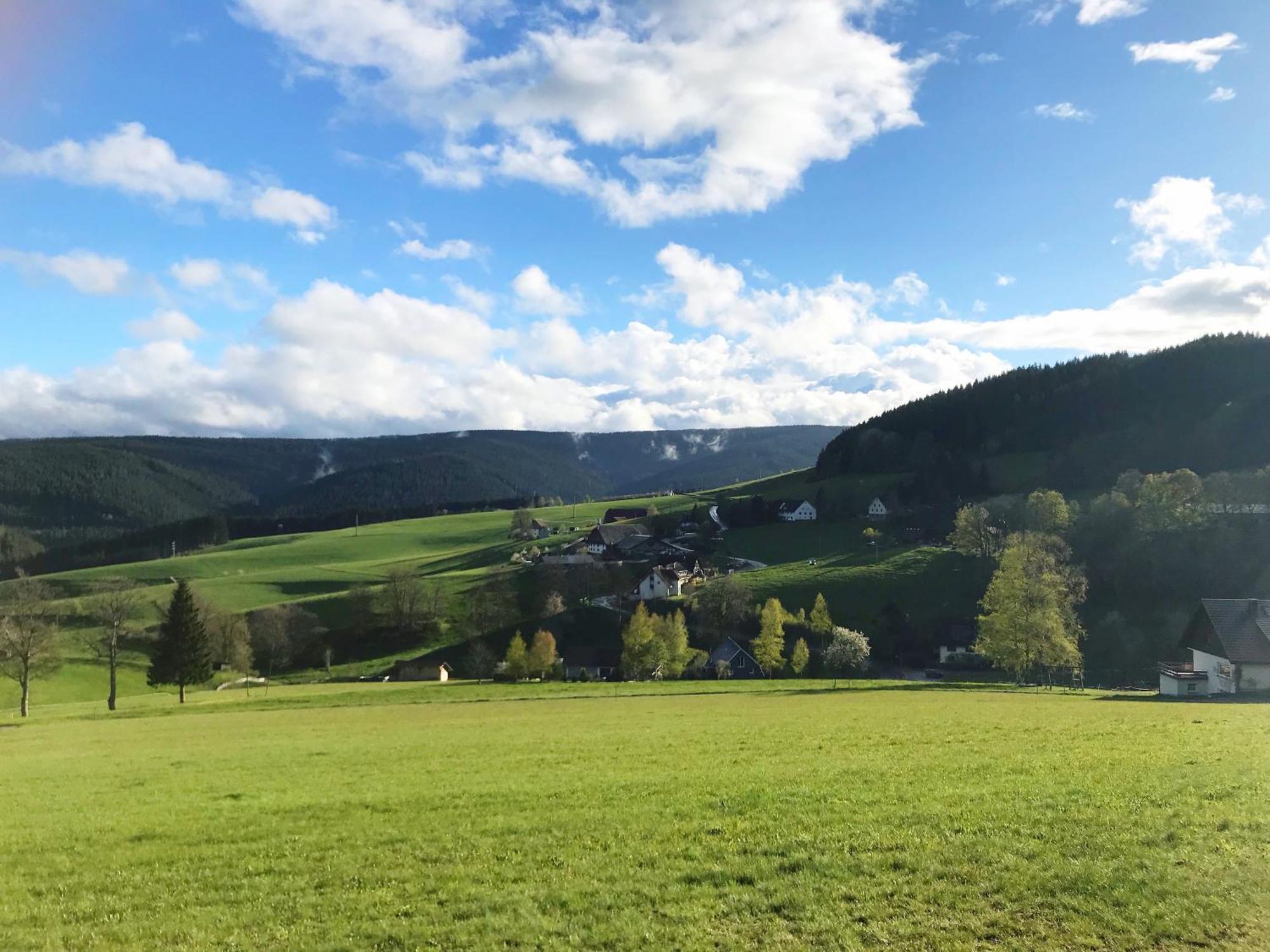 Ferienhaus Robin Titisee-Neustadt Eksteriør billede